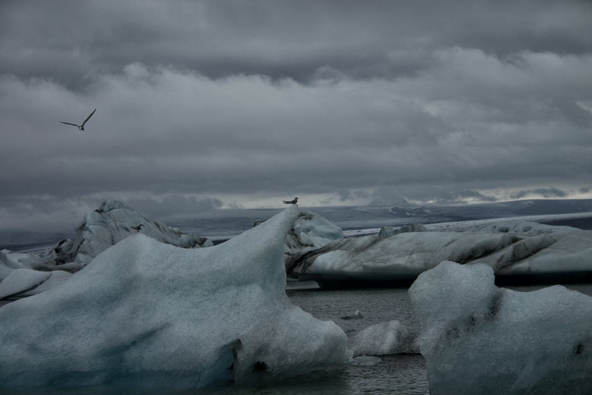 Jökulsárlón Island Sven Michalczak